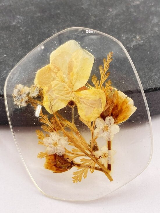 Vintage Jewelry - VINTAGE Real pressed wildflower and clear acrylic plastic brooch 1950s 1960s pin